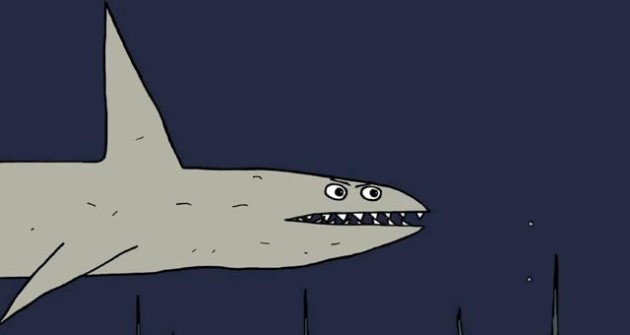 Bimini sharks picture